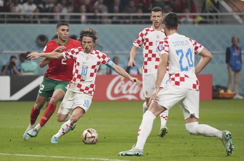 作为前言 作为前言