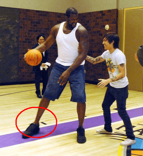 塔图姆的低 塔图姆的低